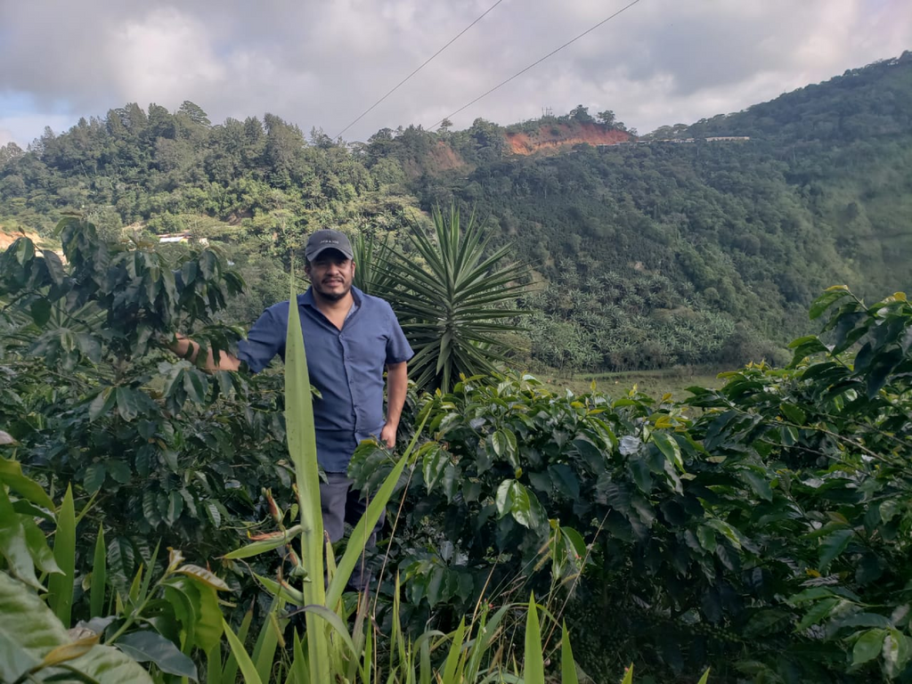 Edwin's Family Farm